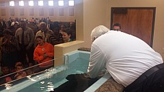 2015-02-15 10.39.28