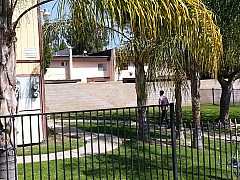 20130323_113827