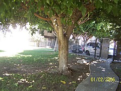 100_8899