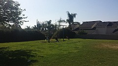2015-04-05 09.24.46